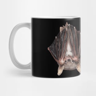 Northern Long Eared Bat Mug